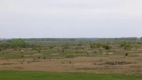 View of field and forest on cloudy day Stock Footage 308358202
