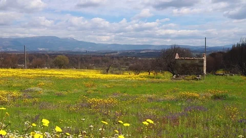 View on field and old building Video stock 91724248