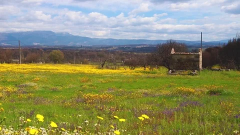 View on field and old building Stock Footage 91724260
