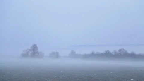 View of the field and trees in thick fog in winter. Stock Footage 225861400