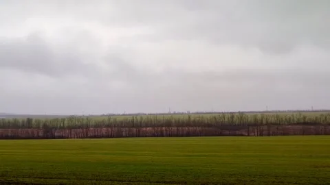 View of the field from the car window 스톡 동영상 282644529