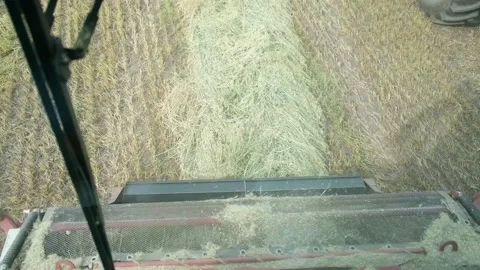 View on the Field From the Combine Cabin Stock Footage 232119116