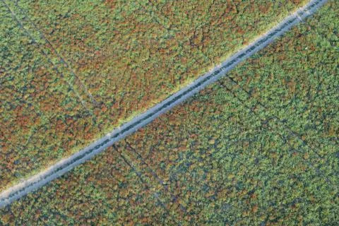View of field from drone Photos