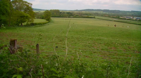 View of field Stock Footage 57815534