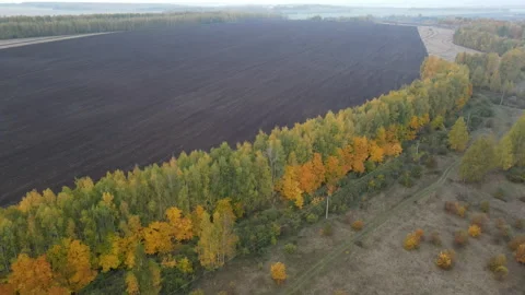 View of the field Stock Footage 162356966
