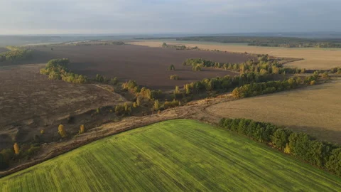 View of the field Stock Footage 162358570
