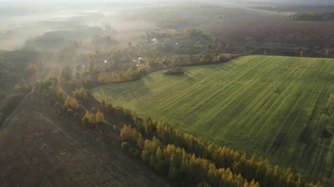 View of the field Stock Footage 162361250