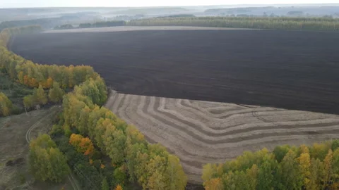 View of the field Stock Footage 162361303