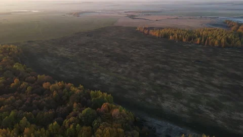 View of the field Stock Footage 163257301