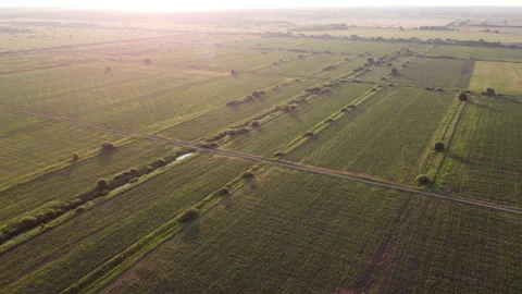 View of the field Stock Footage 163485394