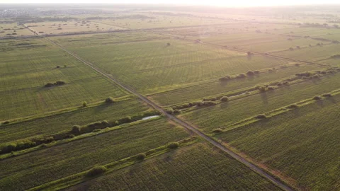 View of the field Stock Footage 163485605