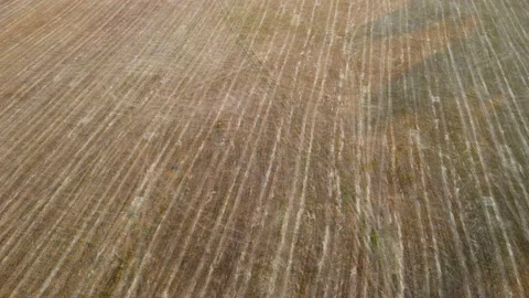 View of the field Stock Footage 163487382