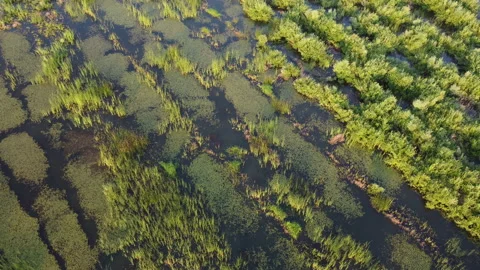 View of the field Stock Footage 163488993