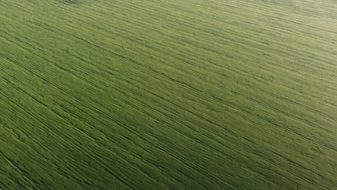 View of the field Stock Footage 164500430