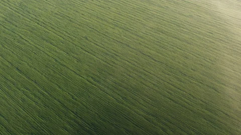 View of the field Stock Footage 164501099