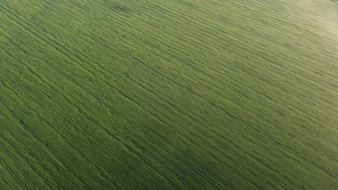 View of the field Stock Footage 164504312