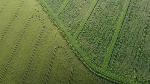 View of the field Stock Footage 164509899