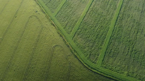 View of the field Stock Footage 164512288