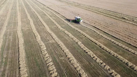 View of the field Stock Footage 164601669