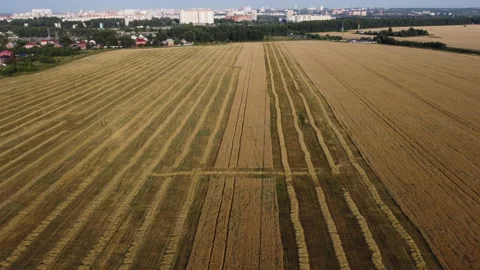 View of the field Stock Footage 164629208