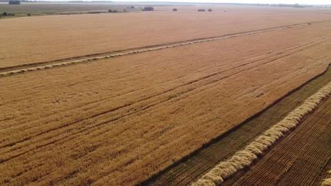 View of the field Stock Footage 164698140
