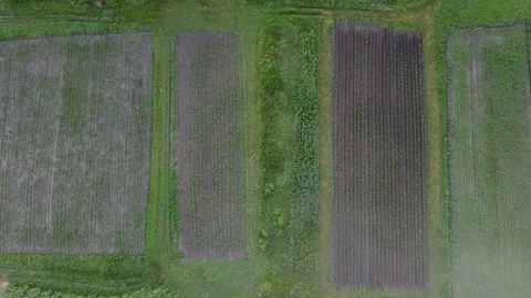 View of the field Stock Footage 165187740
