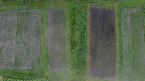 View of the field Stock Footage 165208408