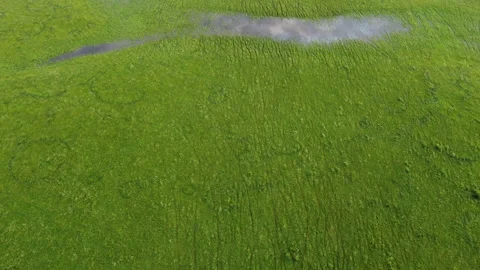 View of the field Stock Footage 166619568