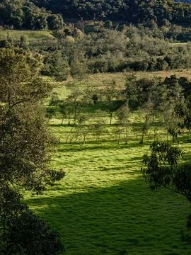 View of a field of grass use to feed cattle, illuminated by the light of the  Stock-Fotos