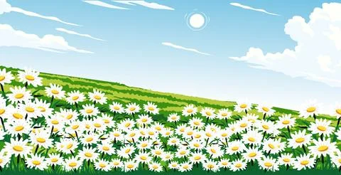 A view of a field Stock Illustration