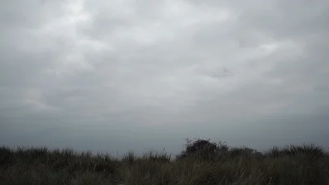 A view on a field with migrating ducks flying in a cloud covered sky. Stockbeeldmateriaal 86563178