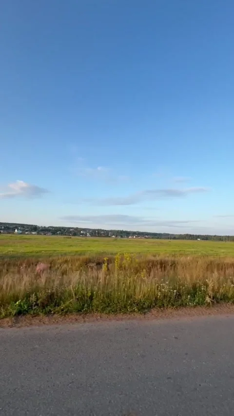 A view of the field from a passing car. Vertical video Stock Footage 281346550