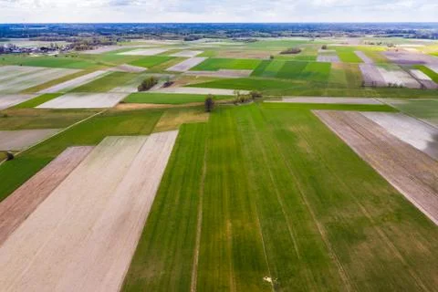 View on a field patchwork in Mazowsze region of Poland Stock Photos