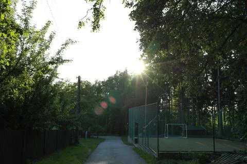 View field 写真素材