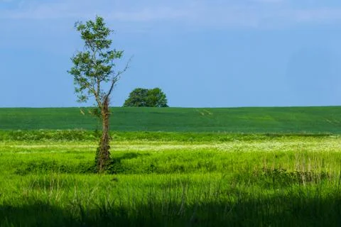 View On A Field Stock Photos