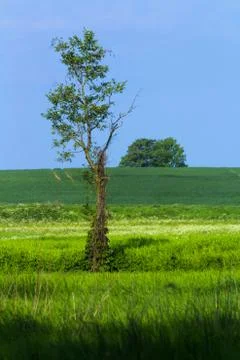 View On A Field Stock Photos