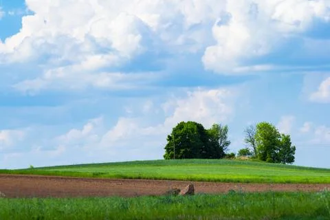 View On A Field Stock Photos