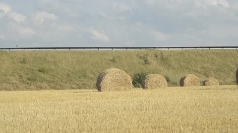 The view to the field with straw rolls after harvest Stock Footage 144408283