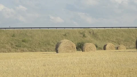The view to the field with straw rolls after harvest Stock Footage 144408575