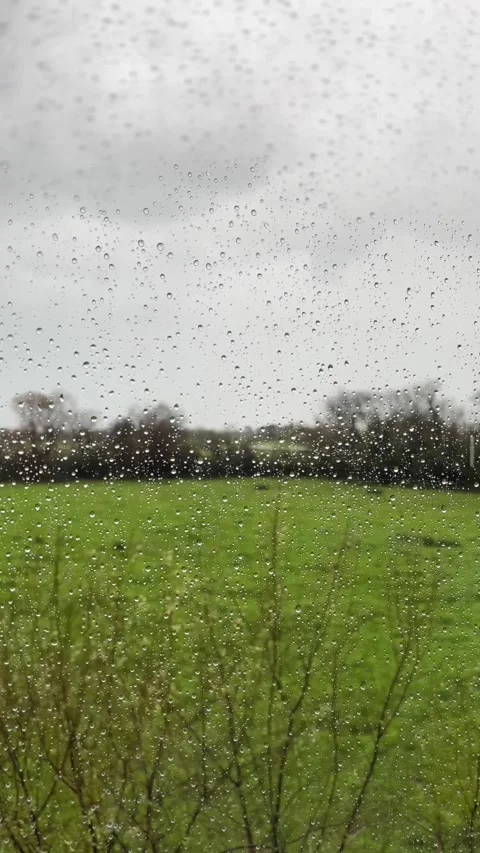 View of a field through the window with water drops on a rainy day. Stock Footage 274223493
