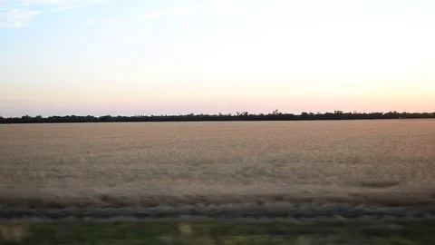 View of the field from the train. Stock Footage
