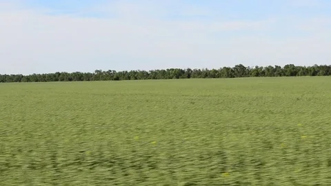 	View of the field from the train. Stock-Footage 78054585