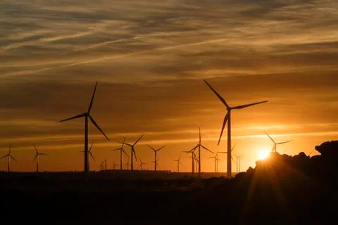 View on field with Windmills Stock Photos
