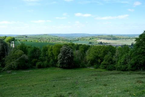 View of the fields and forests from the hill Foto stock