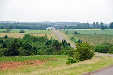 View of fields and forests Stock Photos