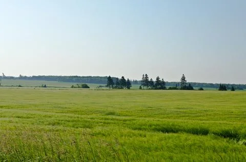 View of fields and forests Stock Photos