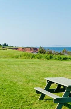 View of fields and forests Stock Photos
