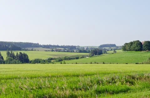 View of fields and forests Stock Photos