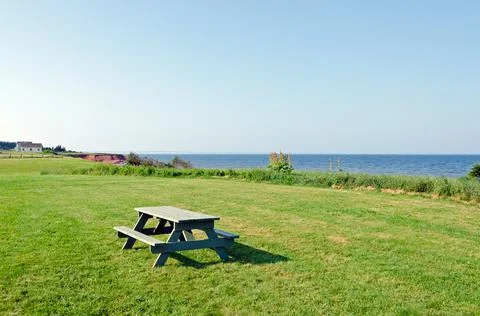 View of fields and forests Stock Photos