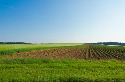 View of fields and forests Stock Photos